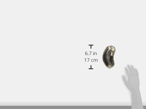 GIMA Instruments GB Stainless Steel Kidney Dish, Deep, 162 x 77 x 31 mm