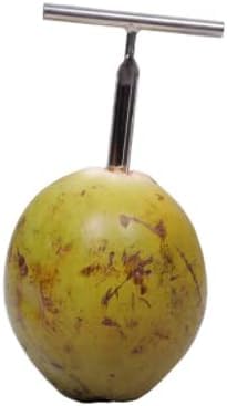 Heavy Duty Food Grade Stainless Steel Tender Green Coconut Opener, Pack of 1