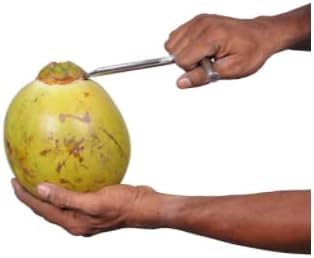 Heavy Duty Food Grade Stainless Steel Tender Green Coconut Opener, Pack of 1