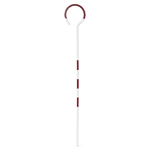 AdirPro 14 in Chaining Pin Set, 11-Piece | Heavy-Duty Steel Surveying Marking Pins | Alternating Red & White Bands | Includes Carrying Ring | Ideal for Land Surveying & Distance Measuring