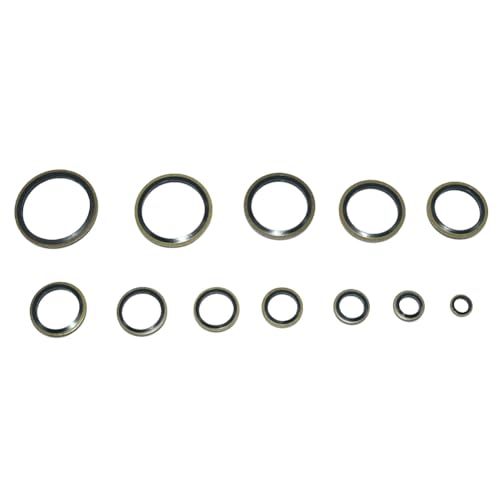 VARMHUS 378PCS Metal Bonded Sealing Washer Kit, Self-Centering Gasket Assortment for Automotive, M6 to M30 (12 Sizes)