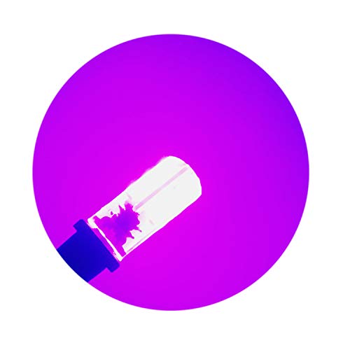 Purple LED Light kit with fire and Flame Flicker Effects Control 12 Volts DC 1 watt Bulb for Props Theatrical Scenery Escape Rooms Lanterns Torches
