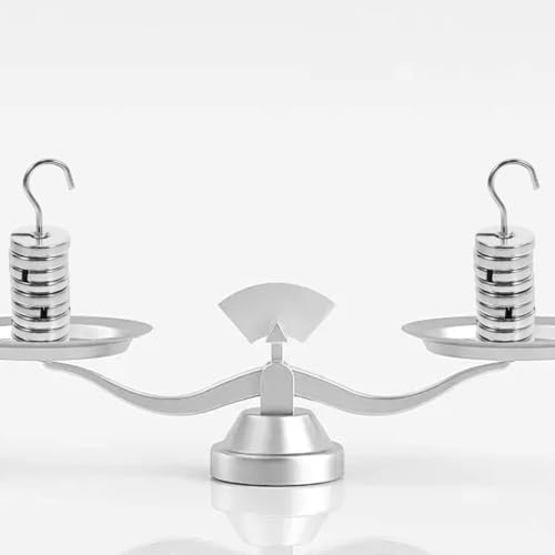 PACKOVE Metal Slotted Weights Laboratory Weight Set 100 g 9 x 10 g Weights with Hooks Chrome Coated Compact for Precise Calibration and Experiments