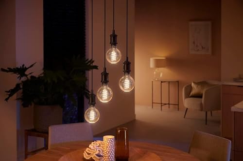 Philips Hue White E27 Filament Lamp (550 lm), Dimmable LED Lamp for Hue Lighting System with Warm White Light, Smart Light Control via Voice and App, Pack of 1 standard