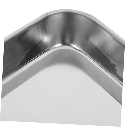 Stainless Steel Instrument Tray 31 x 24 x 2.5 cm Without Cover Medical Tray for Medical Instruments Clinic and Laboratory