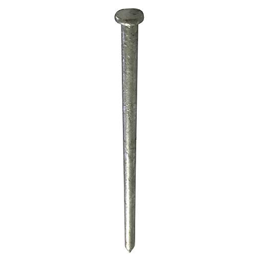 (10) 100d - Galvanized Spike nail - (10) Pack