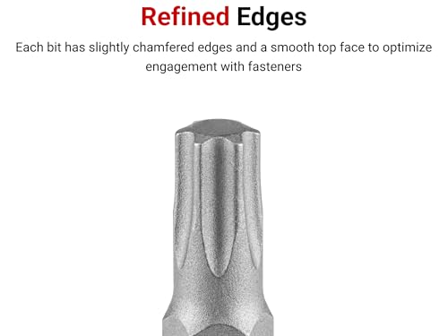 TEKTON 3/8 Inch Drive Long Torx Bit Socket Set, 12-Piece (T10-T60) | SHB91305 12-Piece (T10-T60)