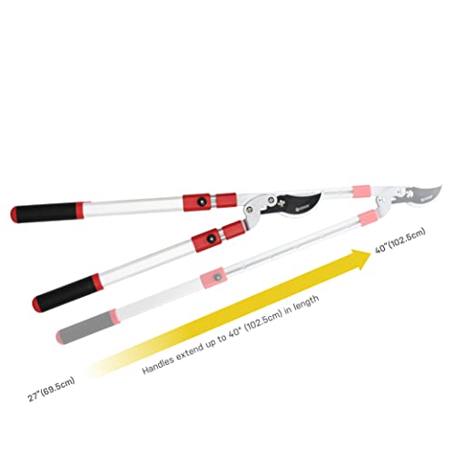 Eden 39021 Telescoping Bypass Lopper