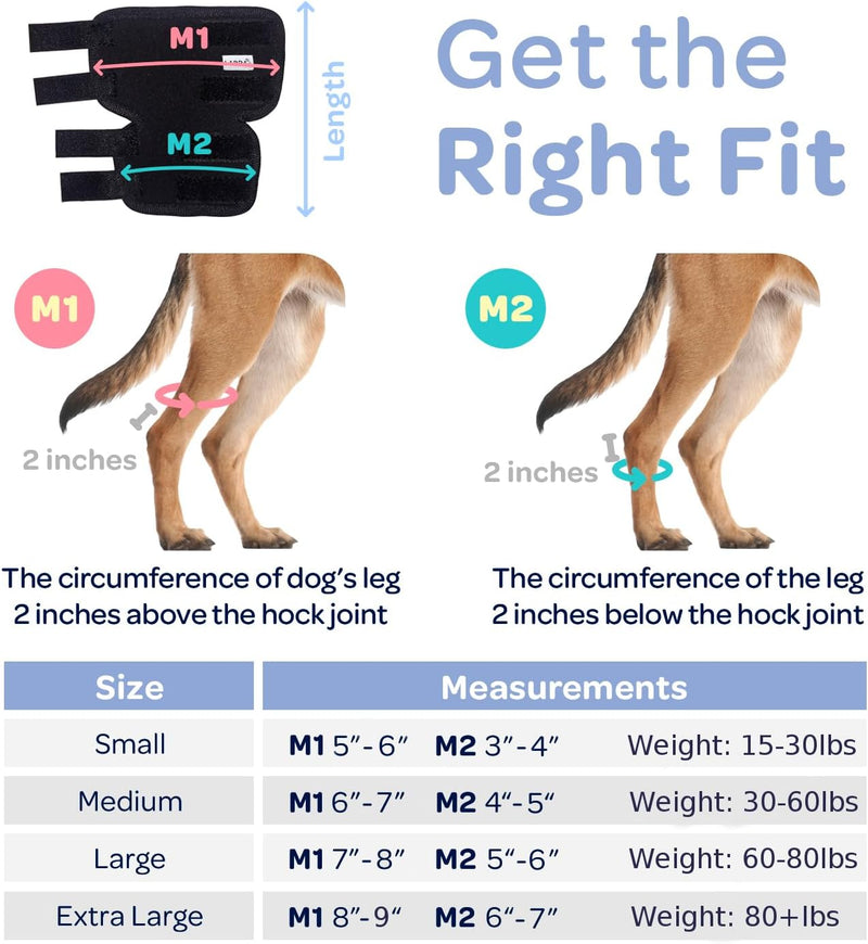 Labra Extra Supportive Dog Canine Rear Leg Hock Joint Wrap Protects Wounds as They Heal Compression Brace Heals and Prevents Injuries and Sprains Helps Arthritis Large