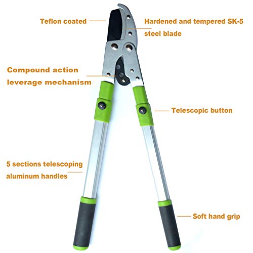 Bypass Lopper with Extendable, Anvil Lopper Heavy Duty, Tree Trimmer Telescopic 26-41 Inch, Garden Pruner 5 Sections Handle Adjustment, Branch Cutter with 2 Inch Cut Capacity