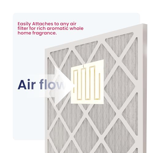WEB FilterFresh Whole Home Gardenia Air Freshener 0.8 Ounce (Pack of 1)