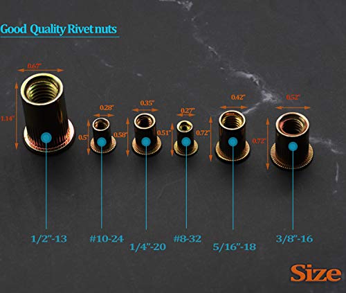 CO-RODE 165pcs 8-32, 10-24, 1/4"-20, 5/16"-18, 3/8"-16, 1/2"-13UNC Carbon Steel Flat Head Rivet Nuts Rivnut Threaded Insert Nutsert Assortment Kit