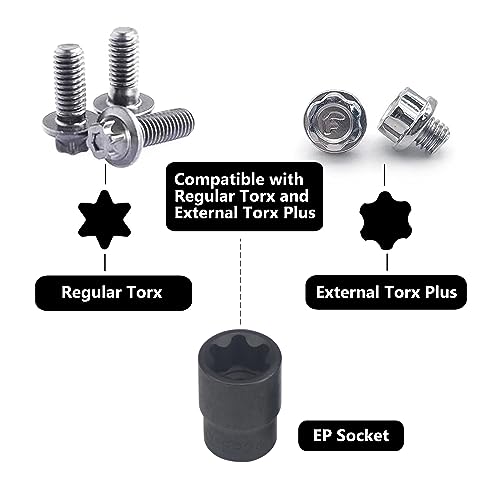 19pc External Torx Plus Socket Set 6 Point EP4, EP5, EP6, EP7, EP8, EP10, EP11, EP12, EP14, EP16, EP18, EP20, EP22, EP24, EP26, EP28, EP30, EP32 with 1/2'' 3/8'' 1/4'' Dr E-Torx Plus Socket