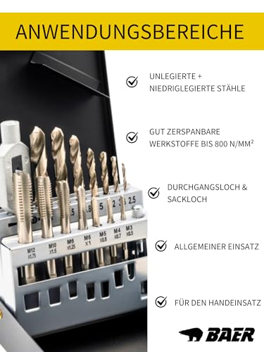 BAER Thread Cutter Set M3-M12 HSS-G | 15 Pieces for Internal and External Thread | Thread cutting set for steel and cast steel up to 800 N/mm², tap and core hole drill + tap wrench, in metal case