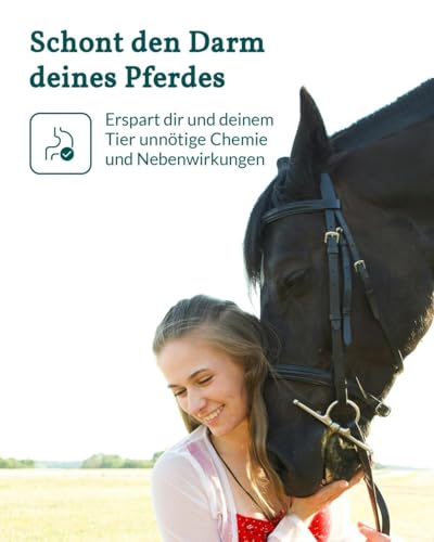 vetevo Horse Plus Worm Test - Band, Lung Worms & Egg Counting - 10 Tests | Also captures roundworms, strongylides & liver gel, result in 24 hours, faeces sample from home
