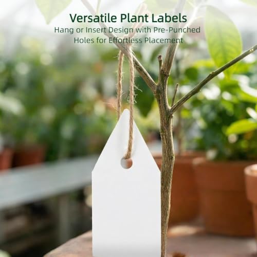 4-in-1 Seed Starter Kit with Mini Greenhouse & Tools