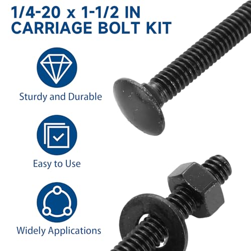 50 Sets 1/4-20 x 1-1/2 Black Carriage Bolts and Nuts Kit Stainless Steel