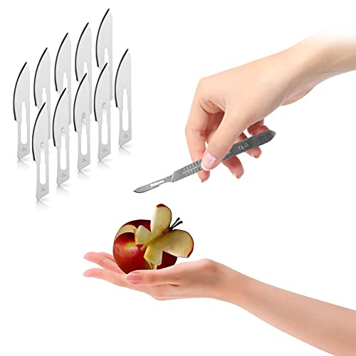 Scalpel Blades, Scalpel Foot Care, Scalpel Blades, Podiatry Instruments Scalpel, Pack of 10 Scalpel Blades Made of Carbon Steel - Replacement Blades Individually Sterile Packed + Scalpel Holder - Stainless Steel No. 24, Silvery