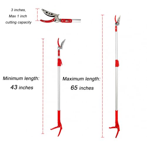 Extendable Tree Pruner and Fruit Picker for Garden Harvesting -