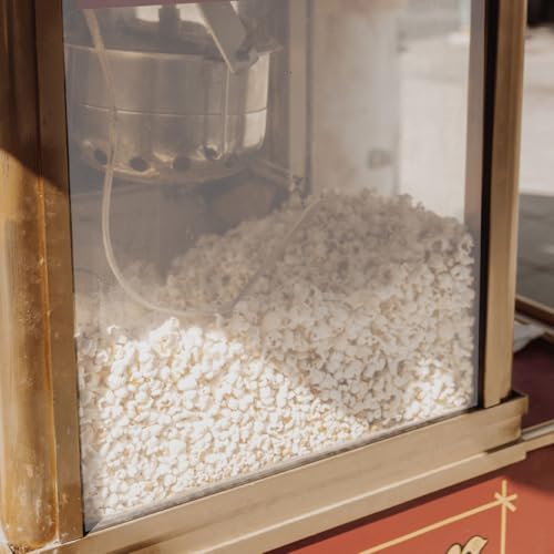 STOBAZA 2Pcs Popcorn Machine Door Protective Panel Replacement Parts Thickened PVC Dual-Door Design for Commercial and Household Setup with Professional Look Preventing Popcorn Spill