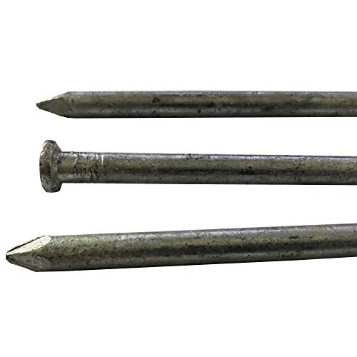 (10) 100d - Galvanized Spike nail - (10) Pack