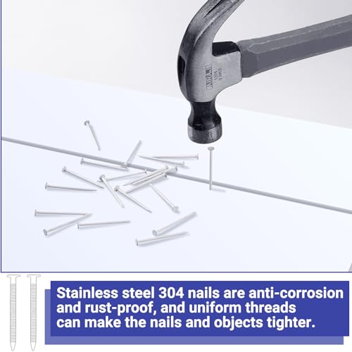 Tandefio White Trim Nails 304 Stainless Steel Panel Nails 2 lb, 1-1/4 Inch