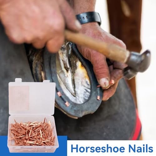 250PCS Horseshoe Nails, Horse Shoe Nails High Tensile Strength Precision Nails Copper Plated Horse Horseshoe Nail Set for Horse Racing Training Riding Equestrian Sporting