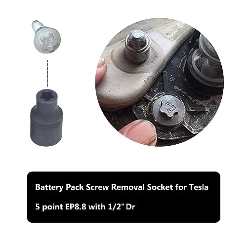19pc External Torx Plus Socket Set 6 Point EP4, EP5, EP6, EP7, EP8, EP10, EP11, EP12, EP14, EP16, EP18, EP20, EP22, EP24, EP26, EP28, EP30, EP32 with 1/2'' 3/8'' 1/4'' Dr E-Torx Plus Socket