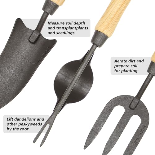 Japanese Gardening Tools Set, 6 Pcs Garden Tools Set, Black Painted Stainless Steel Heavy Duty Gardening Tools Kit, Hand Trowel, Dibble, Hand Rake, Weeder, Transplanter and Hand Folk… Black Painted Steel 3