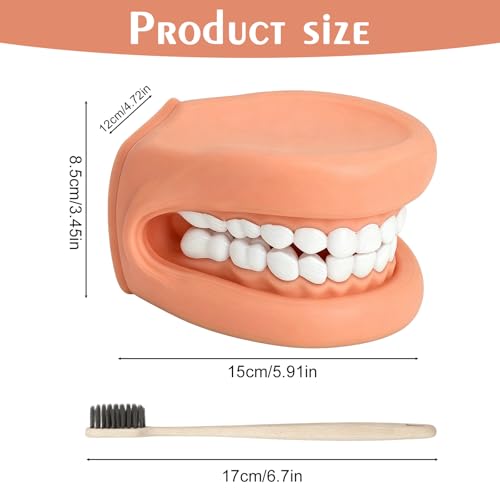 Dental Model Teeth Model, Tooth Mouth Model with Toothbrush, Mouth Hand Puppet with Tongue for Children, Mouth Puppet for Speech Therapy, Demonstration Anatomical Tooth Model for Dental