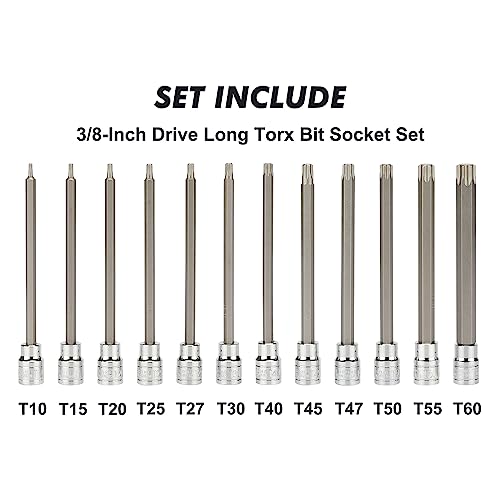 CASOMAN 3/8"Drive Extra Long Torx Bit Socket Set, 12 Piece Torx Star Bit Set, T10 to T60, Length: 150mm, CR-V&S2 Steel 150mm | 12-piece Set