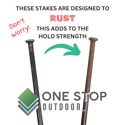 Heavy Duty (10 Count) - Round Metal Landscape & Paver Edging Anchoring Spikes, 12-Inch Length - Bright Spike Timber Nail, Tent Spike, Camping, Landscape, & More (10-Pack) 10-PACK