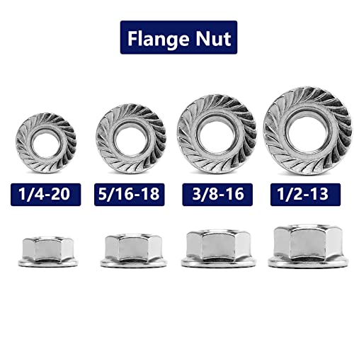 1/2-13 Serrated Flange Hex Lock Nuts 50Pcs 304 Stainless Steel 18-8, Full Thread, Hex Drive, Bright Finish by SG TZH