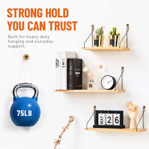 600 PCS Drywall Anchors and Screws Assortment Kit, Heavy Duty Plaster Wall Expansion Wall Plugs Self Drilling Hollow Wall Anchors for Shelves, Pictures, Curtains, TV Brackets