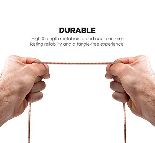 GALVANOX (2 Pack) Pet Proof iPhone Charger - Braided Metal Lightning to USB-C Charging Cables [Apple MFi Certified] Ultra Durable ChewProof Cord (4 Ft.) Compatible with iPhone and iPad