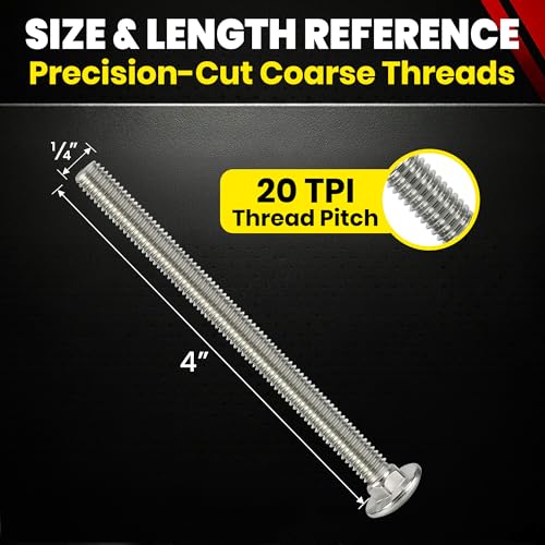 Chenango Supply 1/4-20 x 4 Stainless Steel Carriage Bolts 1/4-20x4