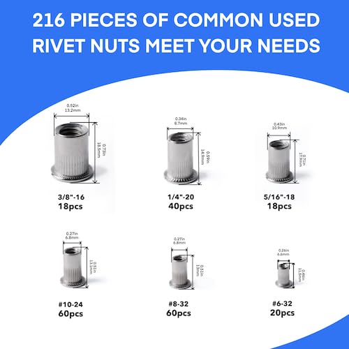 SAE Stainless Steel & Carbon Steel Rivet Nuts Assortment Kit, 6 Sizes and 494Pcs Rivnut Sets for Automotive and Sheet Metal