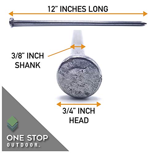 Heavy Duty (10 Count) - Round Metal Landscape & Paver Edging Anchoring Spikes, 12-Inch Length - Bright Spike Timber Nail, Tent Spike, Camping, Landscape, & More (10-Pack) 10-PACK