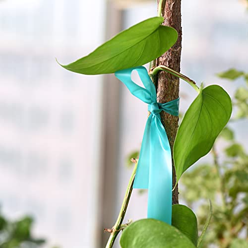 TELENT OUTDOORS Stretch Tie Tape, 1” Wide 200FT Reusable Garden Plant Ties Green Tapes for Plants, Thick Garden Vinyl Stake Ribbon for Branches Flowers Tomatoes Indoor Outdoor Greenhouse (Pack of 3) 200FT (Pack of 3)
