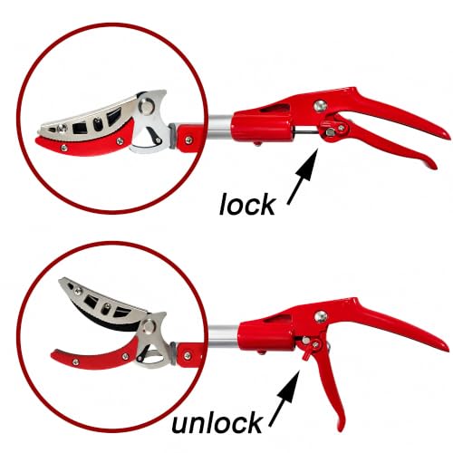 Extendable Tree Pruner and Fruit Picker for Garden Harvesting -