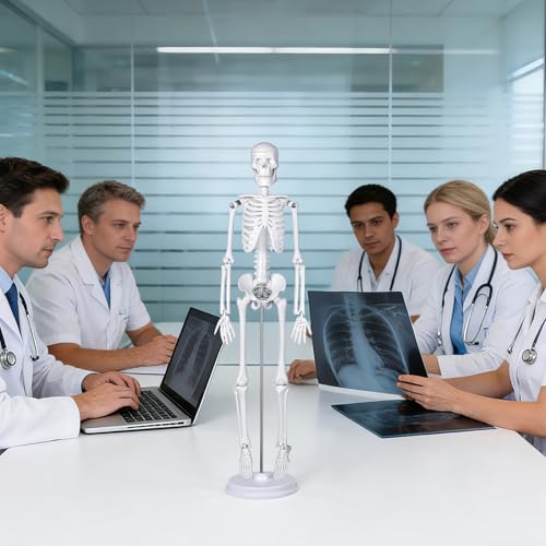 Mini Human Skeleton Model, 45 cm Large Small Human Skeleton Model, Movable Arms for Medical Teaching, Education, Display