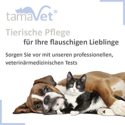 2 x Giardia Quick Test Dog & Cat – Immediate Confidence About Your Pet's Health in Diarrhoea and Intestinal Parasites – For Detection of Giardia Antigens in Animal Faeces