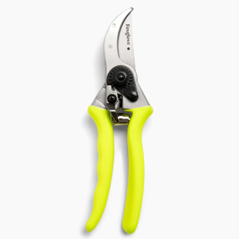 Foxglove 8.5" Pruning Shears – Professional Garden Shears & Bypass Hand Pruners with Japanese SK5 High Carbon Steel Blades, Heavy Duty Garden Clippers & Gardening Tools