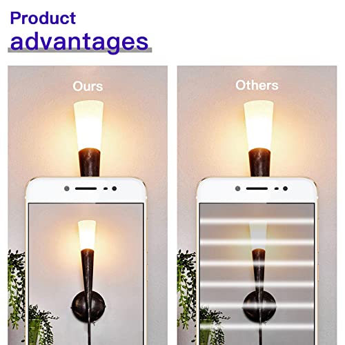 12er Pack G4 Halogen Leuchtmittel, 12V 20W Warmweiß 2700K Dimmbar, 2 Pin Klare Kapsellampen für Dunstabzugshauben Küchen Wohnzimmer Schlafzimmer 20 W-12 V, 12 Stück