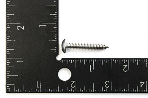 180 Piece Truss Head Stainless Steel Screw Set for Commercial and Restaurant Kitchen Marine Grade 10 x 1-1/4 Inches SS 180