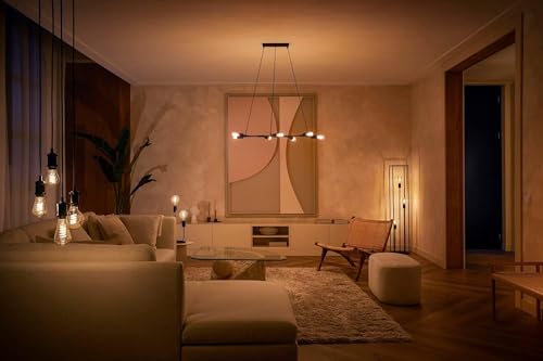 Philips Hue White E27 Filament Lamp (550 lm), Dimmable LED Lamp for Hue Lighting System with Warm White Light, Smart Light Control via Voice and App, Pack of 1 standard