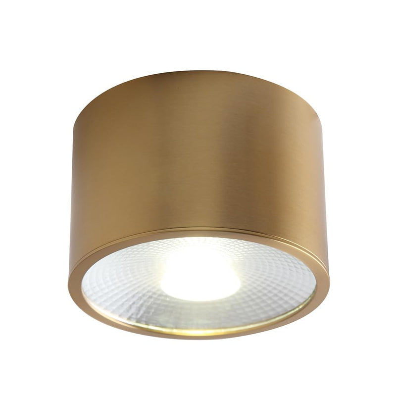 Sedelan Brass Ceiling Spot Lights Indoor, LED Ceiling Spot Light, Cylinder Small Ceiling Spotlight, Dimmable Ceiling Lights for Kitchen Hallway Dining Room Foyer, 4500K 7W LED Light-D4.72"