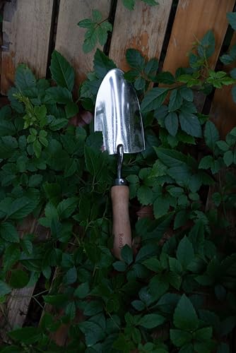 Rooty Gardening Tool Set 3 Pieces Stainless Steel Heavy Duty Gardening Kit Includes 2 Sizes of Hand Trowels and Cultivator Easy for Garden Cultivating Soil Lossening Transplanting Digging Garden Tool Set 3