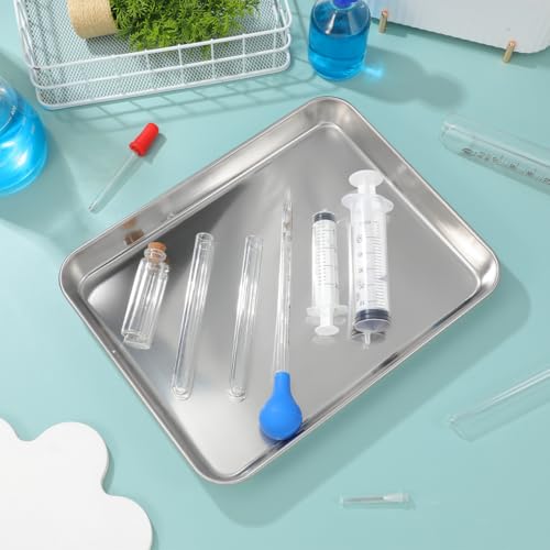 Stainless Steel Instrument Tray 31 x 24 x 2.5 cm Without Cover Medical Tray for Medical Instruments Clinic and Laboratory