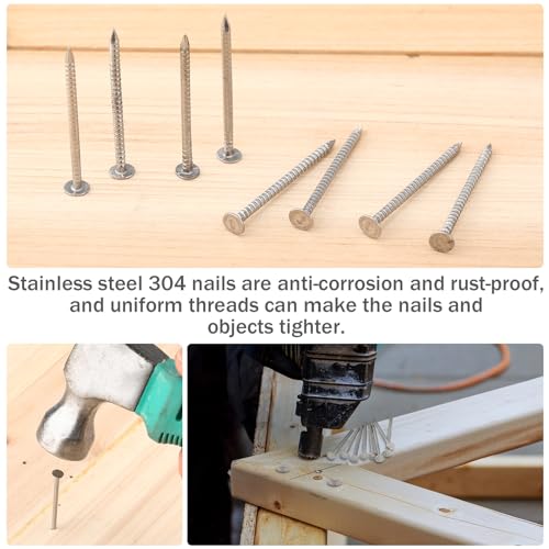 Tandefio 1-1/4 Inch 2 Pounds Roofing Nails 304 Stainless Steel Roofing Felt Nails Flat Head Hardware for Shingles, Cedar Wood, Decking, Wall (Silver) Silver